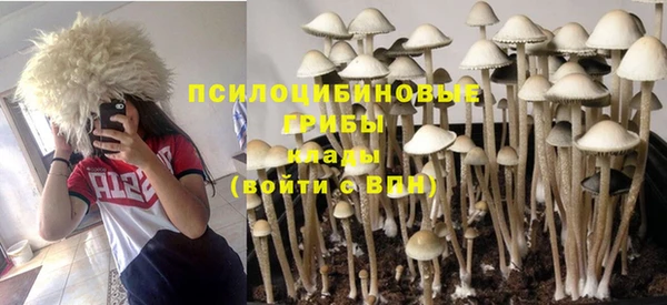 винт Вяземский