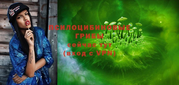 винт Вяземский