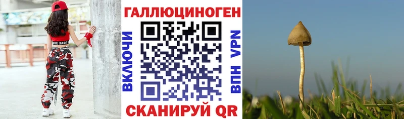 Галлюциногенные грибы GOLDEN TEACHER  Купить  Лабинск 